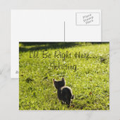 孤独な子恋しく思猫のあなた葉書 ポストカード (正面/裏面)