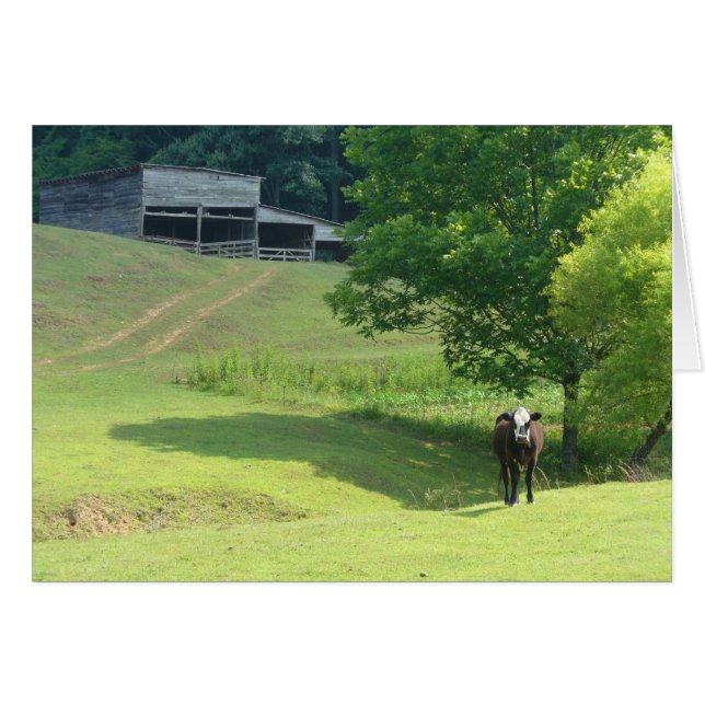 孤独な子牛 (正面横)