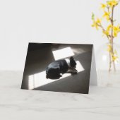 孤独な日 カード (黄色い花)