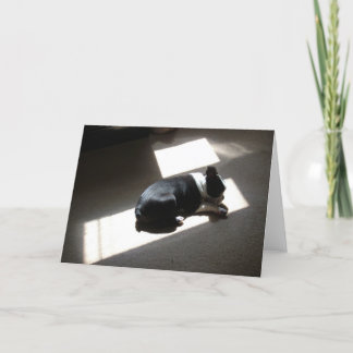 孤独な日 カード