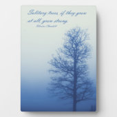 孤独な木が強く成長 – 霧の中のシルエット フォトプラーク (正面)