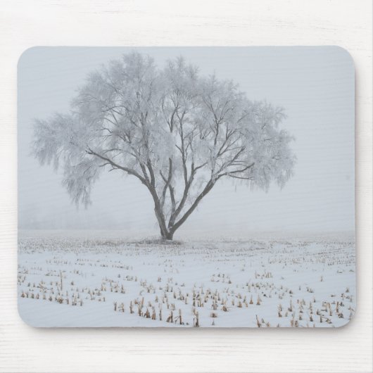 孤独な木に霜が降りる マウスパッド (正面)