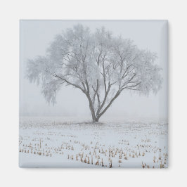 孤独な木に霜が降りる マグネット