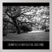 孤独な木 ポスター (正面)