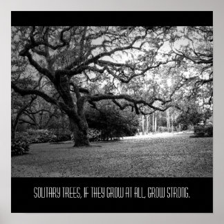 孤独な木 ポスター