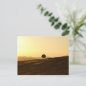 孤独な木 ポストカード (スタンド正面)