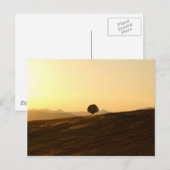 孤独な木 ポストカード (正面/裏面)