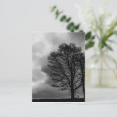 孤独な木 ポストカード (スタンド正面)