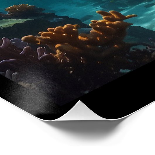 孤独な泳ぎサメ ポスター (コーナー)