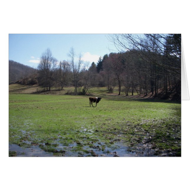 孤独な牛 (正面横)