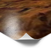 孤独な狼 フォトプリント            (角)