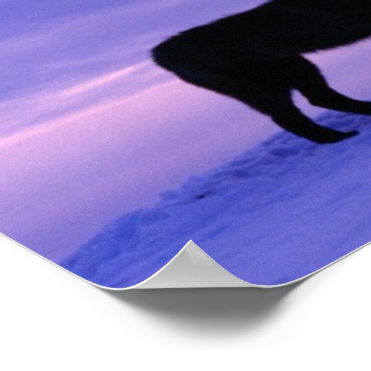 孤独な狼 ポスター (角)