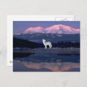 孤独な狼 ポストカード (正面/裏面)