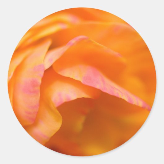 孤独な真実 ラウンドシール (正面)