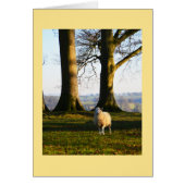 孤独な羊の動物カード (正面)