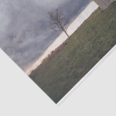 孤独な裸の木で孤立したクリーム屋さん 薄葉紙 (詳細)