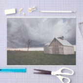 孤独な裸の木で孤立したクリーム屋さん 薄葉紙 (クラフト)