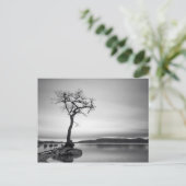 孤独な裸の木 ポストカード (スタンド正面)