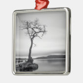 孤独な裸の木 メタルオーナメント (左)