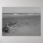 孤独な通過 ポスター (正面)