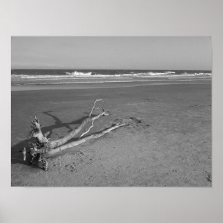 孤独な通過 ポスター