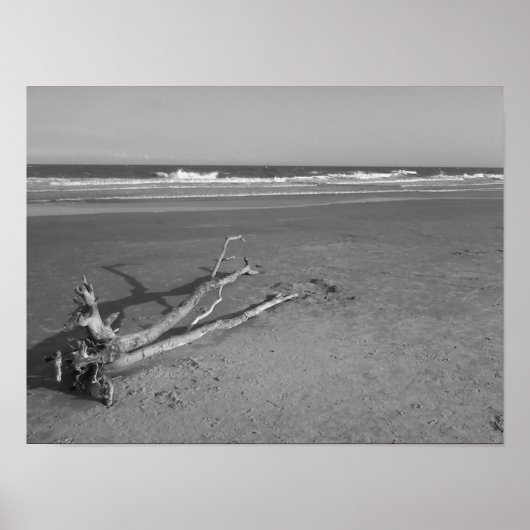 孤独な通過 ポスター (正面)