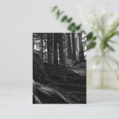 孤独な階段の道 ポストカード (スタンド正面)