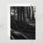 孤独な階段の道 ポストカード (正面/裏面)