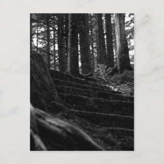 孤独な階段の道 ポストカード