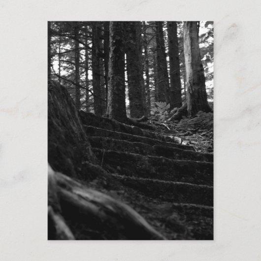 孤独な階段の道 ポストカード (正面)