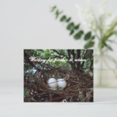 孤独な鳥の巣 ポストカード (スタンド正面)