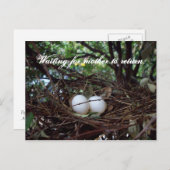 孤独な鳥の巣 ポストカード (正面/裏面)