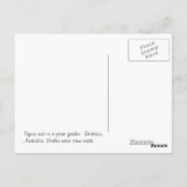 孤独な鳥の巣 ポストカード (裏面)