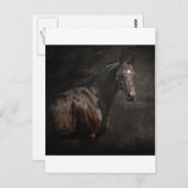 孤独な ポストカード (正面/裏面)