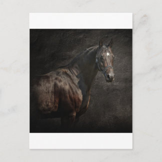 孤独な ポストカード