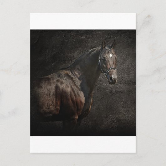 孤独な ポストカード (正面)