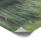 孤独赤翼ブラックバ絵画ード自然 ポスター (角)