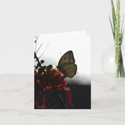 孤独5a カード (正面)