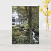 孤独 カード (黄色い花)