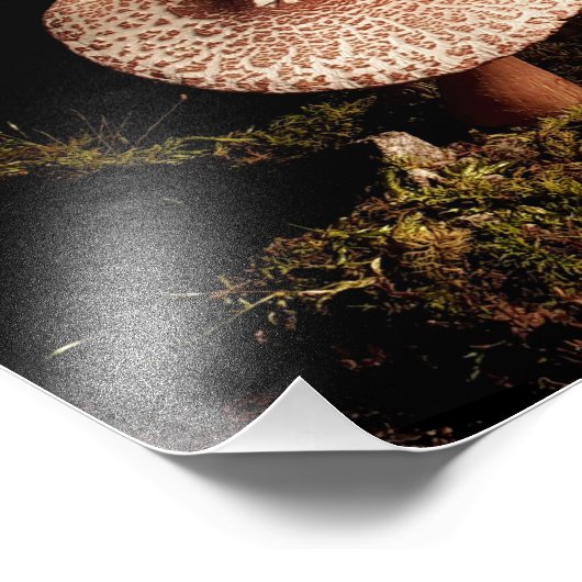 孤独 フォトプリント            (角)