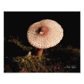 孤独 フォトプリント            (正面)