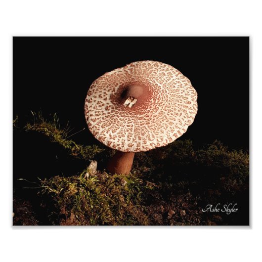 孤独 フォトプリント            (正面)