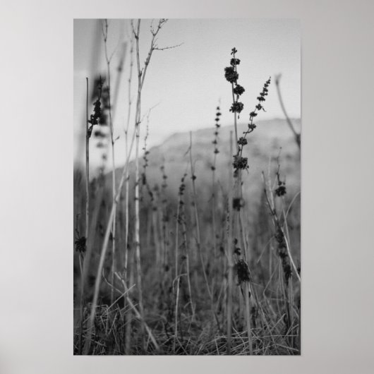 孤独 ポスター (正面)