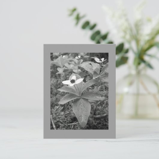 孤独 ポストカード (スタンド正面)