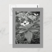 孤独 ポストカード (正面/裏面)