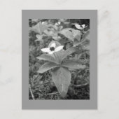 孤独 ポストカード (正面)