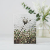 孤独 ポストカード (スタンド正面)