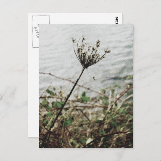 孤独 ポストカード (正面/裏面)