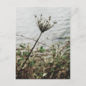 孤独 ポストカード (正面)