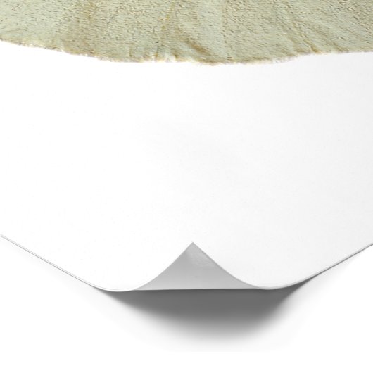 孤立したオスの大きな白い蝶 ポスター (角)